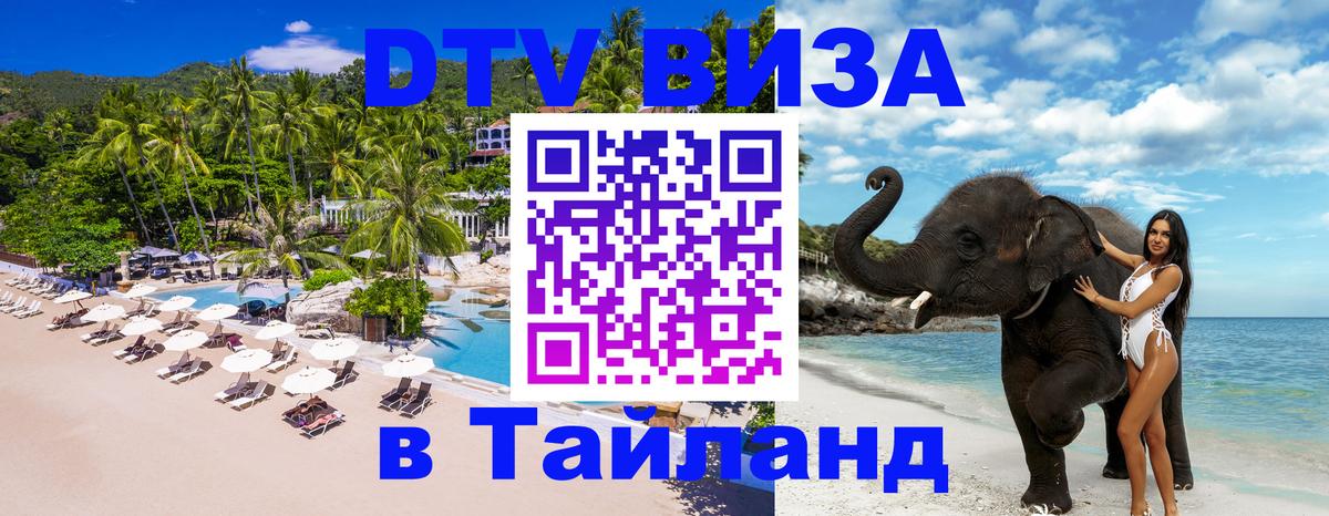 Сколько стоит DTV виза — актуальные цены, оформление даже без документов - Багдад  03.10.2025 